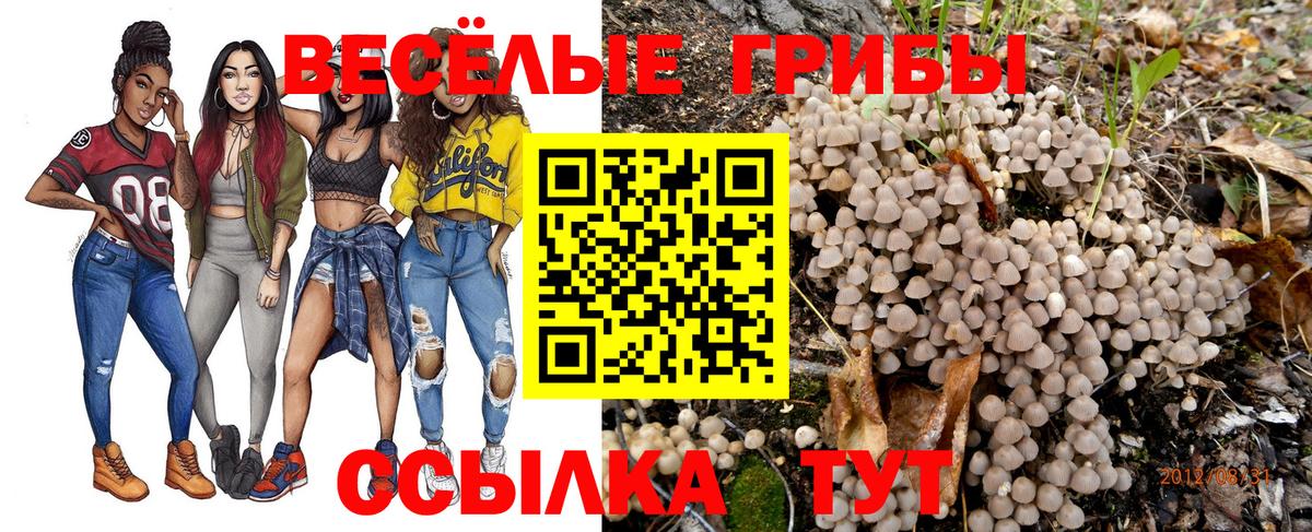 Галлюциногенные грибы мицелий  Галлюциногенные грибы GOLDEN TEACHER  Вход с VPN  Шумерля 